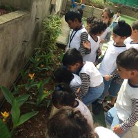 Florets Activity